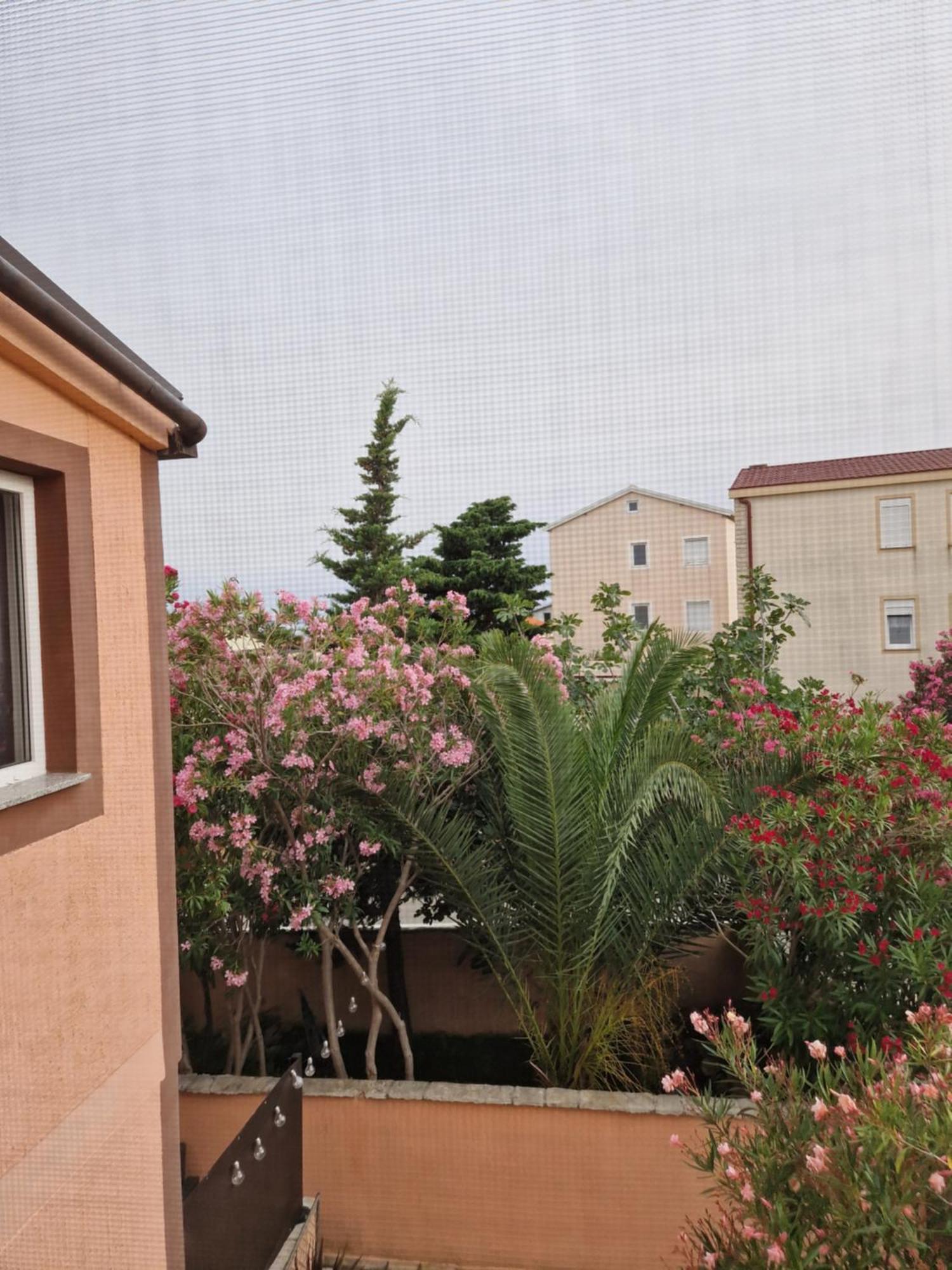 Aurelia Apartments, ヴィル エクステリア 写真